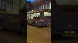Cambridge | Whippet WS318@X3 | MXI2 CFD