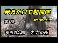 見るだけで願いが叶う【不思議な森】九大の森