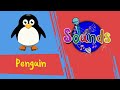 Sounds - Penguin | Toyor Baby