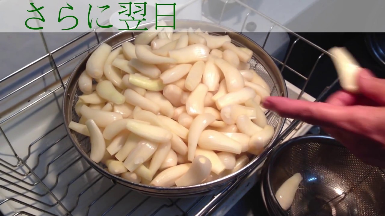 重石もカメもいらない 美味しいカリカリらっきょう漬けの作り方 How To Make Pickled Shallots Youtube
