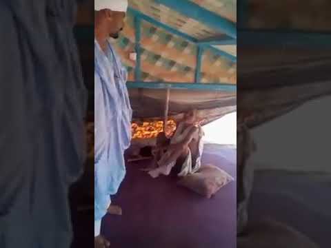 راجل ألا ضحك موريتاني