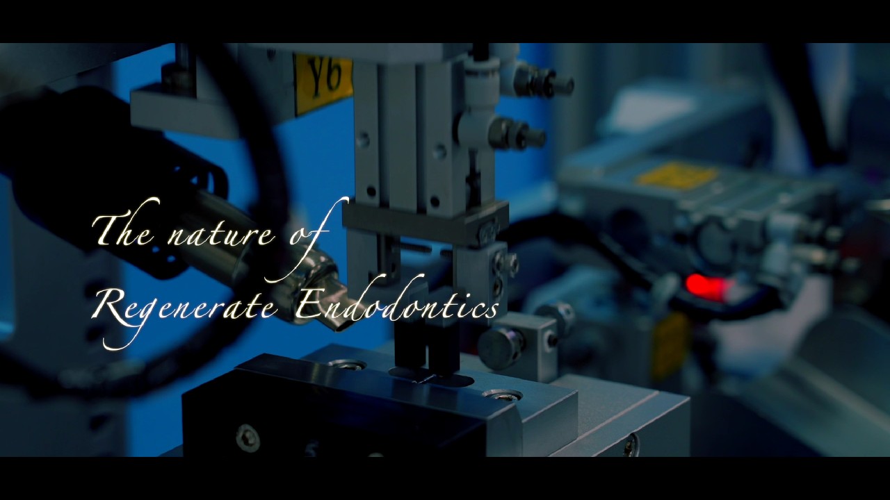 Maruchi: Your Trusted Partner in Endodontic Treatment