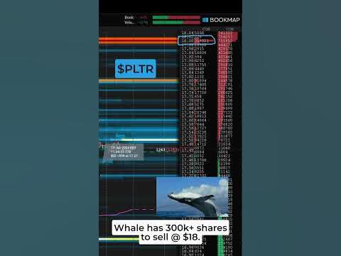 PLTR stock explodes! Whales are setting to sell! #shorts #pltrstock # ...