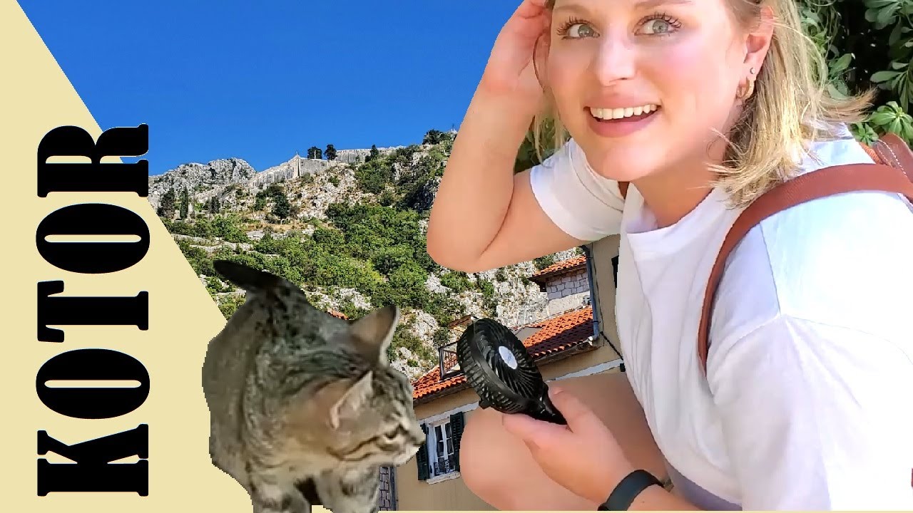A City FULL of Cats?? Spending a Day Traveling Through the Medieval Mediterranean Village of Kotor