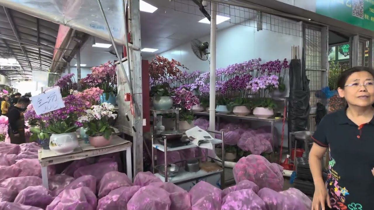 China’s Biggest Potted Plant and Flower Market — Lingnan Flower Market