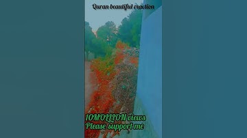 Quran beautiful reaction of the sura kwsar #egzonibrahimi #surahkawthar #سورة_الكوثر #nature