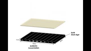MEGA-plate experiment setup