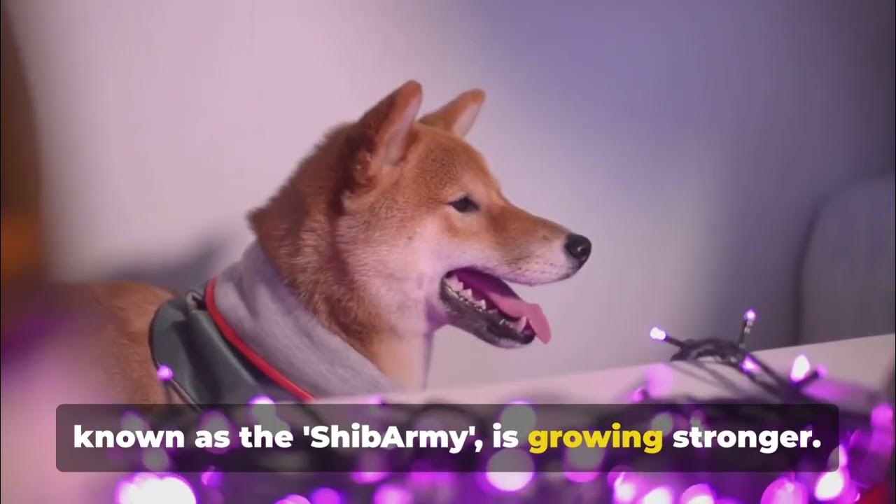 Shiba Inu's Moonshot The 20242025 Forecast YouTube