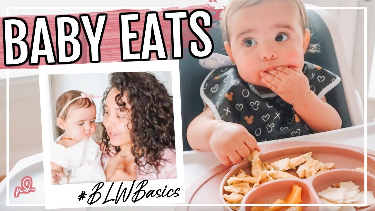 WHAT MY 8 MONTH OLD EATS IN A DAY | BABY LED WEANING FOR BEGINNERS | Page Danielle