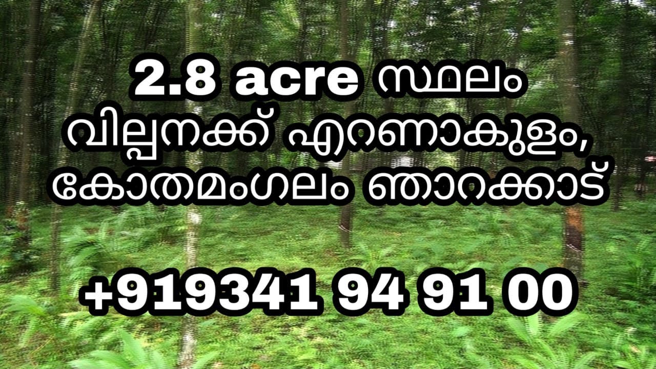 Land For Sale In ErnakulamKothamangalam Agriculture land Farm Land Sale House Plot 80 lakhs