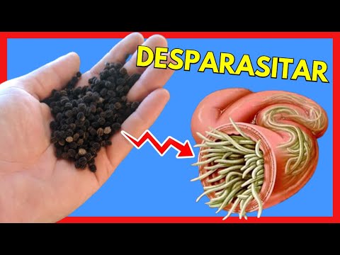 Vídeo: Minhocas comendo planta de hortelã - informações sobre vermes em plantas de hortelã
