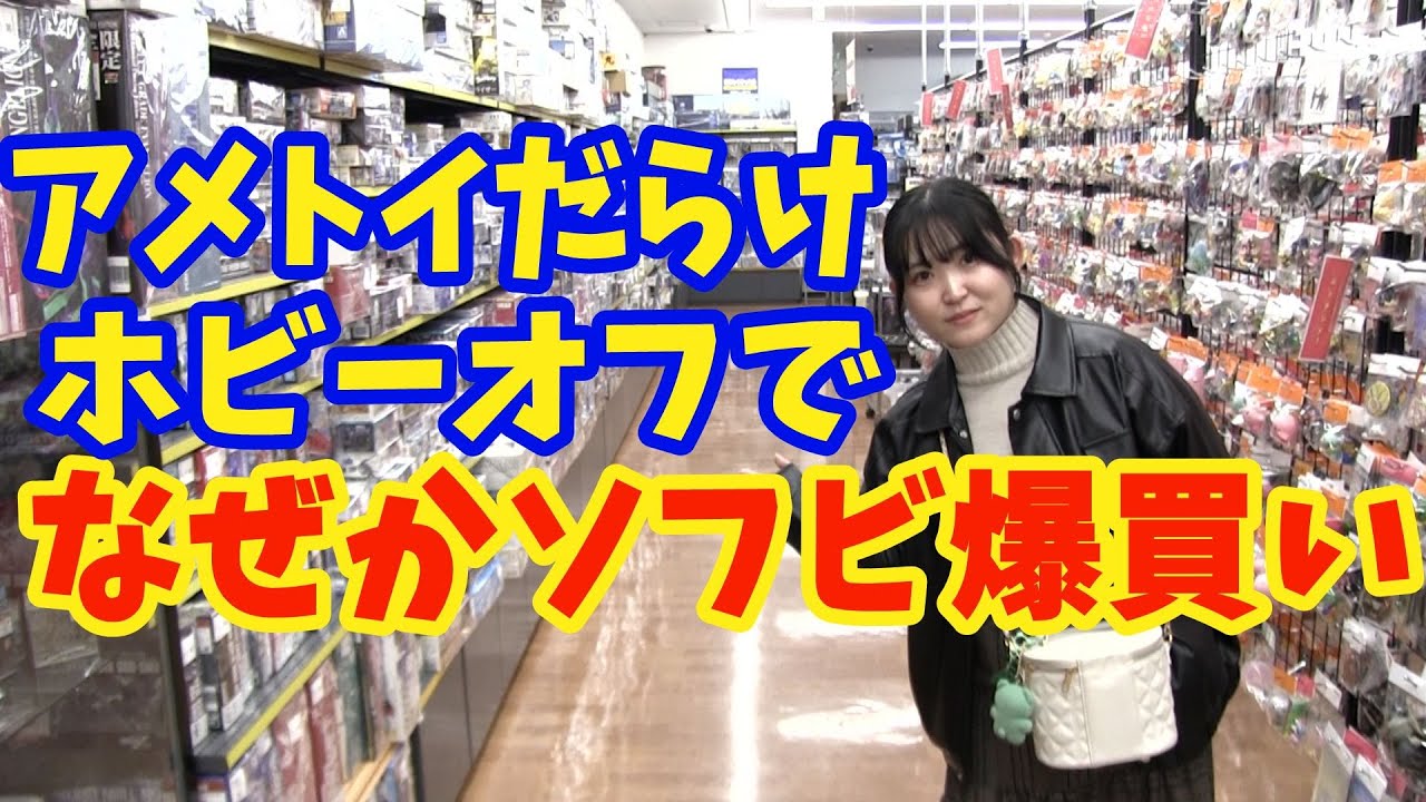 アメトイだらけのホビーオフでなぜかソフビを爆買いするホビーオフ 新潟寺尾前通店 新潟県[じじいとまごのソフビ話し]