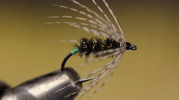 Peacock and Partridge
