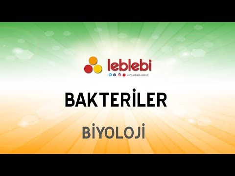 BİYOLOJİ - BAKTERİLER