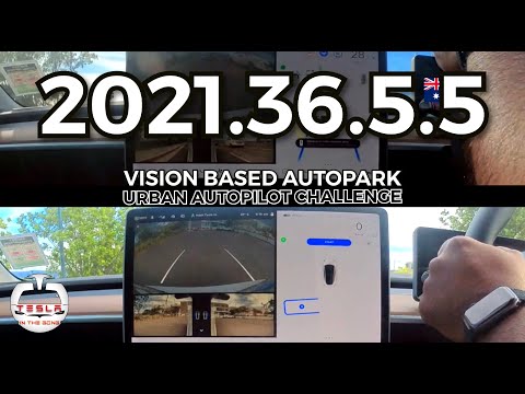 Tesla Vision Autopark