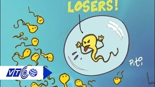 Không có tinh trùng vẫn sinh con chính chủ  | VTC
