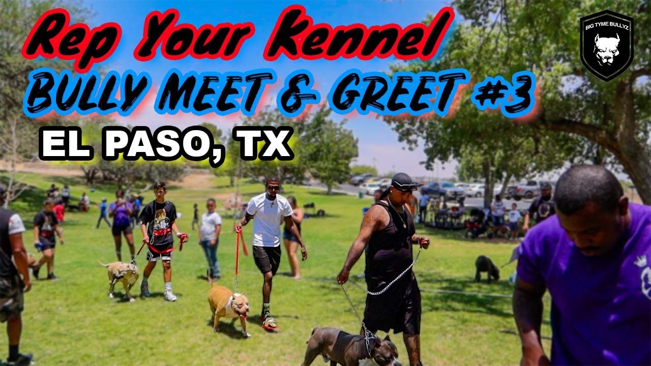 EL PASO, TX REP YOUR KENNEL MEET & GREET 3 BIG TYME EVENTZ YouTube