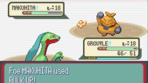 Pokemon Ruby Gym Leader 2