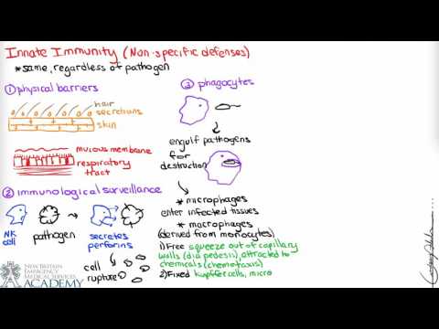 Innate Immunity