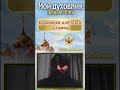 Мой духовник пророк Илия