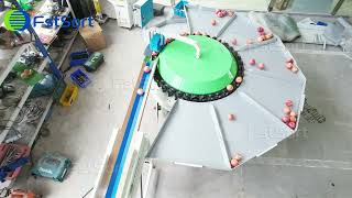 Automatic Rotary Weight Sorter – Gentle, Accurate, Space-Saving✨