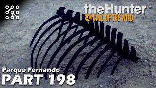 The Hunter: Call of the wild CZ | Když příjdeš pozdě! - #198 | Česky