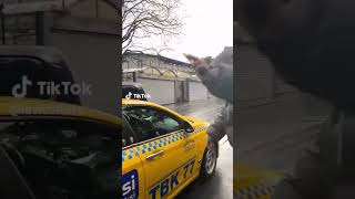 Caqqal Crtt Ünyayokmuoluyokankaaa Ilaaaa0 Pleqsqntup