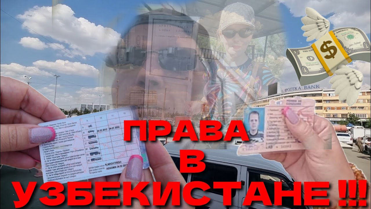 УЗБЕКИСТАН. НОВЫЕ ПРАВА!🚘💳 ПЕРЕВОД ДОКУМЕНТОВ В АЛМАЛЫКЕ. 📑ЦЕНЫ НА ...