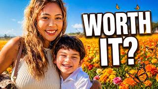 Carlsbad Flower Fields 2026 🌸 Butterfly Encounter | Complete Tour
