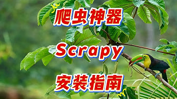 零基础掌握Scrapy安装：Python爬虫第一步