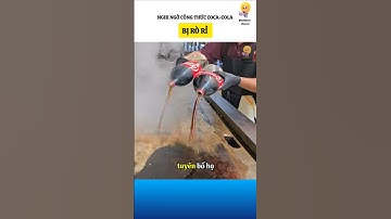 Liệu có phải công thức Coca-Cola bị rò rỉ #bietthemchovui #amazingfacts #cothebanchuabiet