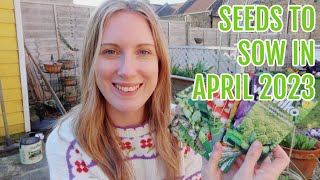 SEEDS TO SOW IN APRIL 2023 / ALLOTMENT GARDENING FOR BEGINNERS