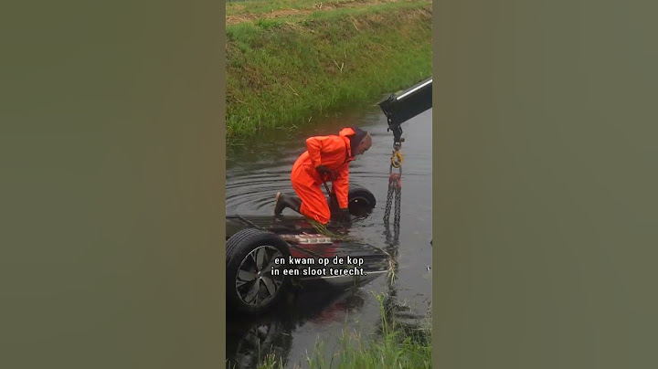 HOND OVERLEDEN bij auto ongeluk 😢 #shorts | RTV Drenthe