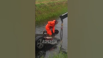 HOND OVERLEDEN bij auto ongeluk 😢 #shorts | RTV Drenthe