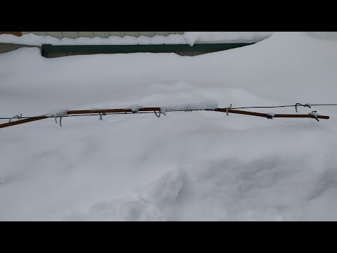 кишмиш Юпитер без укрытия на зиму!!!