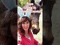 🐇HOP into Real Estate with Cheyenne #grassvalley #nevadacity #pennvalley #livinginnevadacounty