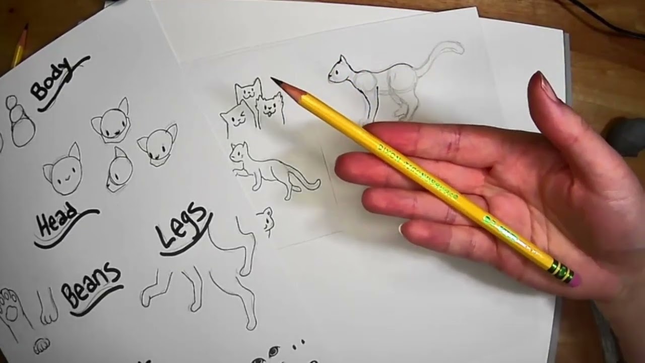 Create A Cat With Christine