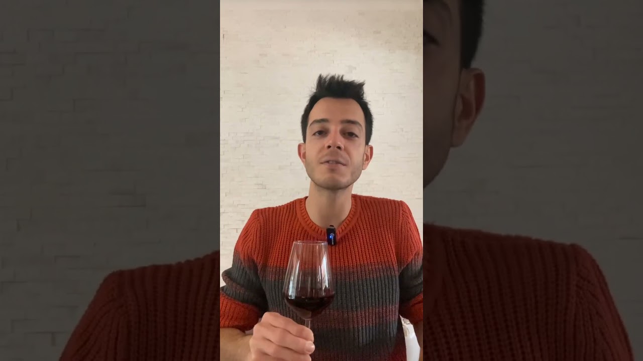 Pasta with Sun-Dried Tomatoes & Mushroom - Piedirosso Campi Flegrei (La Sibilla) | Cucina