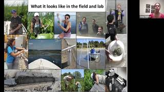 Bay 101: News on living shorelines to protect our waterfronts with  Cindy Palinkas Net Worth