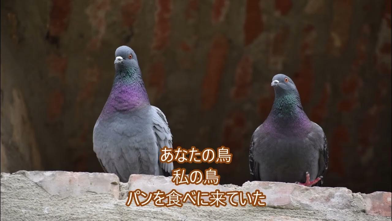 哀しみの終わるとき(MICHELPOLNAREFF)日本語歌詞を考えてみた YouTube