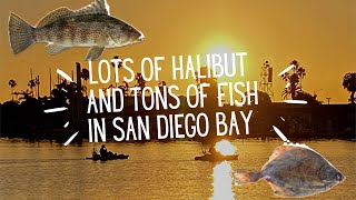 サンディエゴ湾にはオヒョウや魚がたくさん screenshot 4
