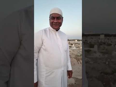 نبتة برية كويتية عجيبة رائحتها بطعم السمك