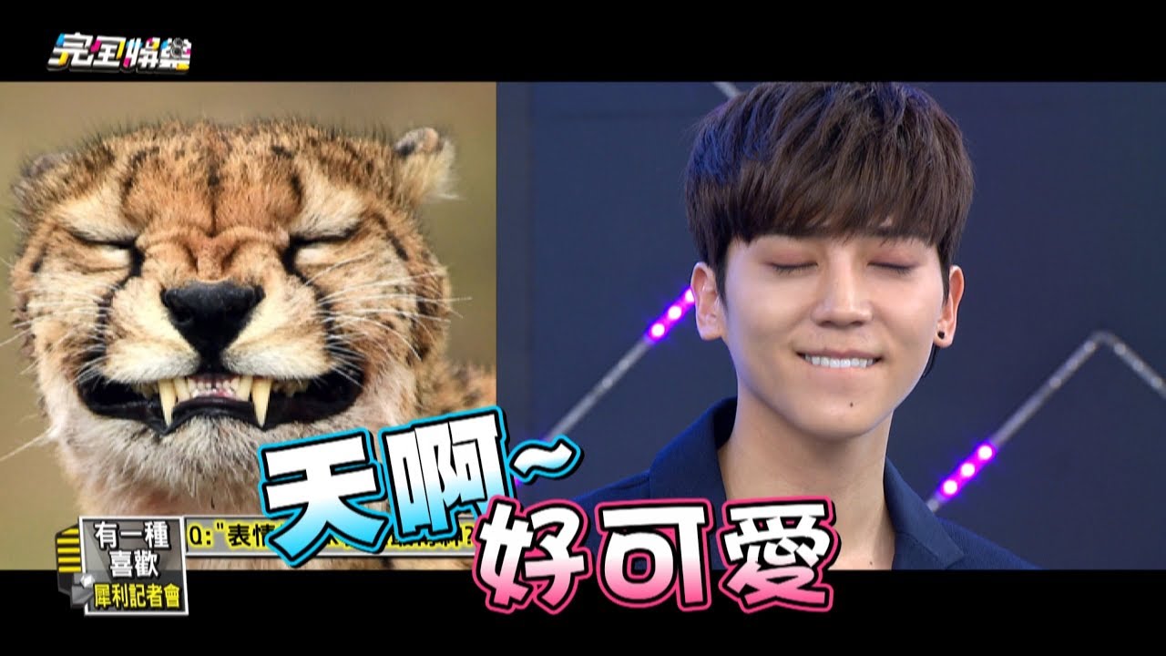 【拋開偶像包袱】有一種喜歡犀利記者會 真的好無極限啦