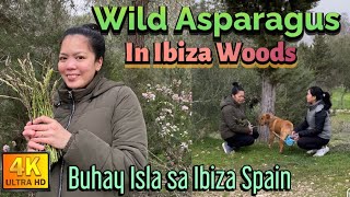 ⁣PICKING WILD ASPARAGUS IN THE WOODS.|Sheryl in Ibiza Vlogs.