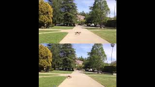 Our Hyper-lapse Video vs. Naive 10x Video Speedup