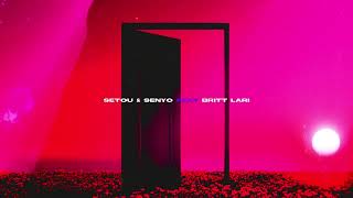 Setou & Senyo Feat. Britt Lari - In My Sleep (Canvas)