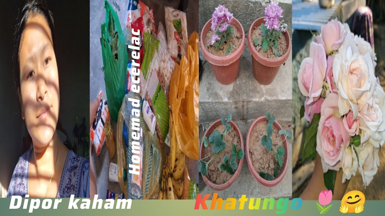 Bwrwi Ham tongkha kaijakgwi 😍❤️ khumrok naithok baimani 😍 #dellyvlog #kokborok ||@pjbruofficial5244 