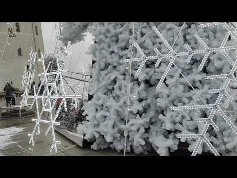 Ёлка в Вильнюсе 2021 🇱🇹. Christmas tree in Vilnius. 🎄.