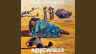 Ngigcwalise