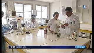 Coup De Projecteur Sur Les Investissements Darégal - France 3 - Jt 1213